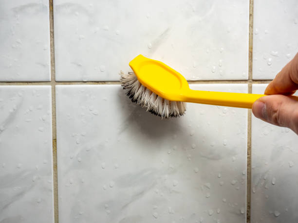 Best Black Mold Remediation in Sanger, TX