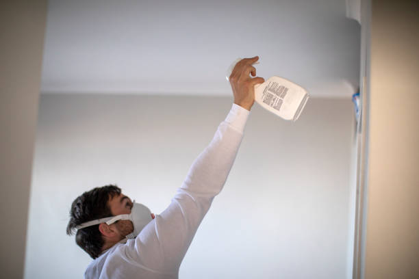 Best Insurance-Related Mold Remediation in Sanger, TX