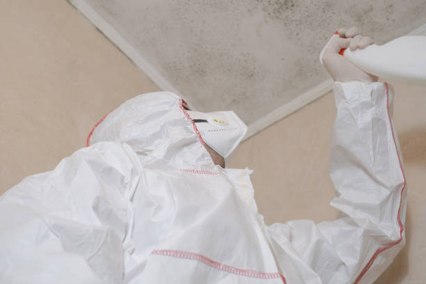 Best Mold Remediation for Schools in Sanger, TX