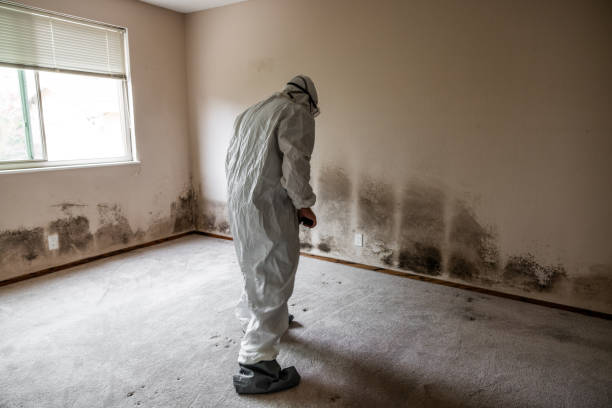 Best Bathroom Mold Remediation in Sanger, TX